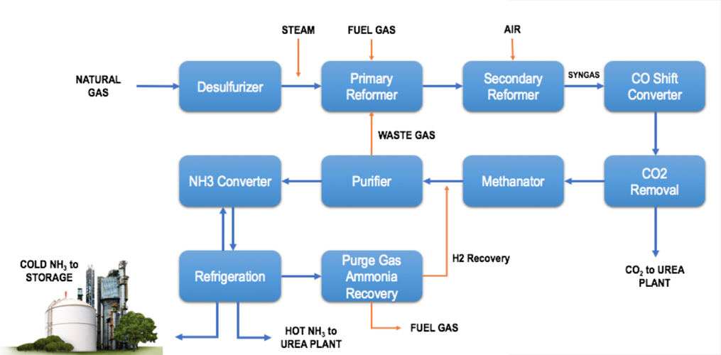 Ammonia production process