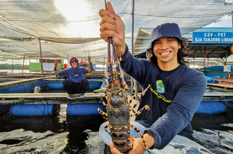 The Empowerment of Floating Net Cages